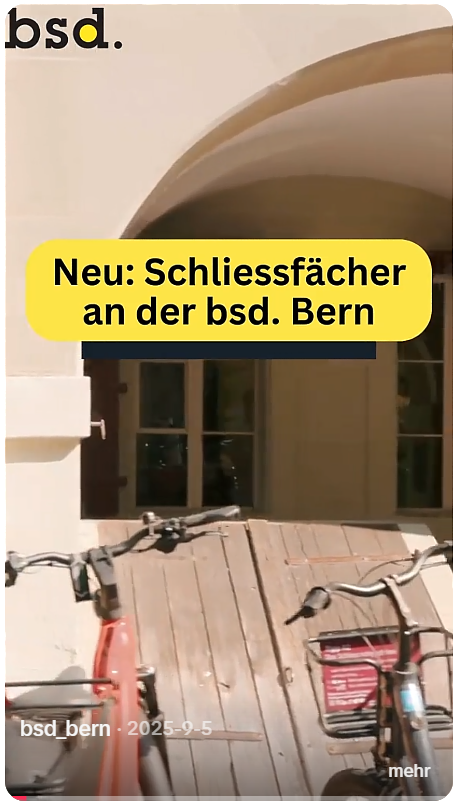 Schlies